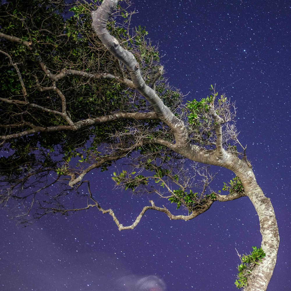 Night W Ind Art | ANASTASE PHOTOGRAPHY