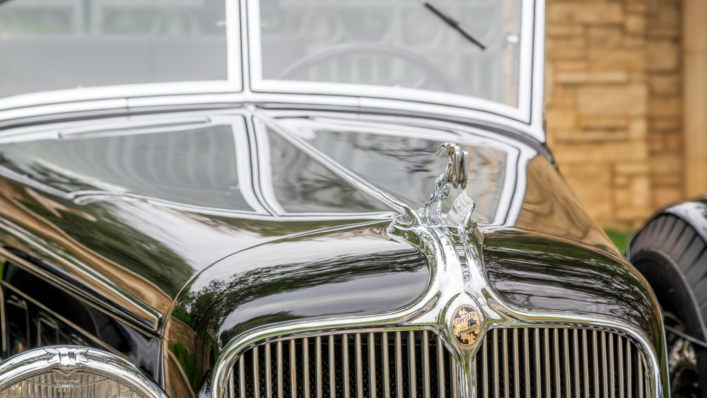 Crest Of Confidence Art | The Frame Gallery