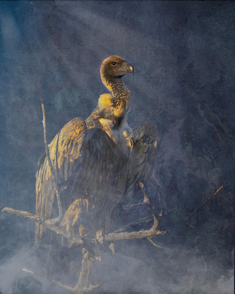 Echoes From The Nightmare’s Hollow Photography Art | Kevin Morris Photography USA