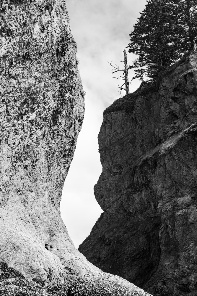 sea stacks in contrast in black and white
