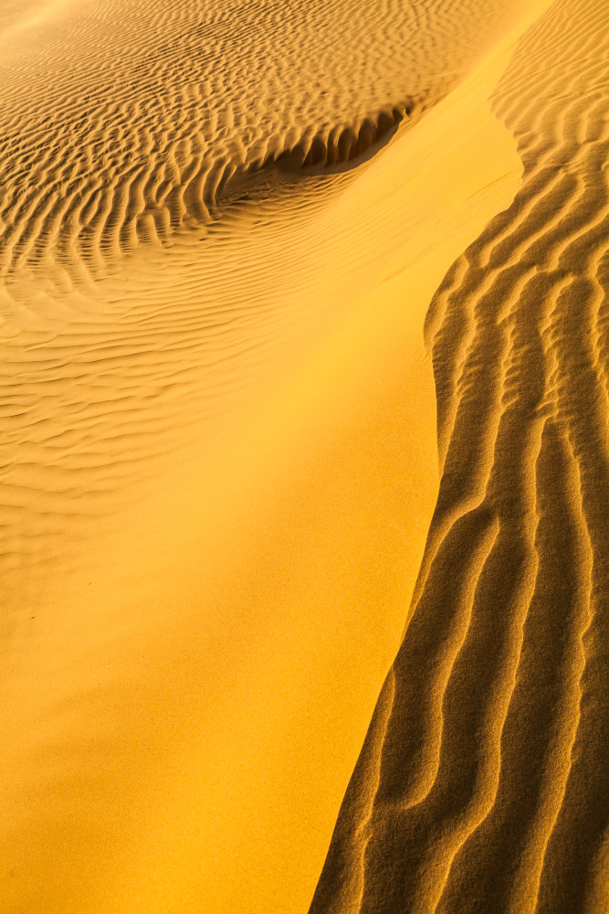 Sand dunes in the Thar desert of Rajasthan, India.