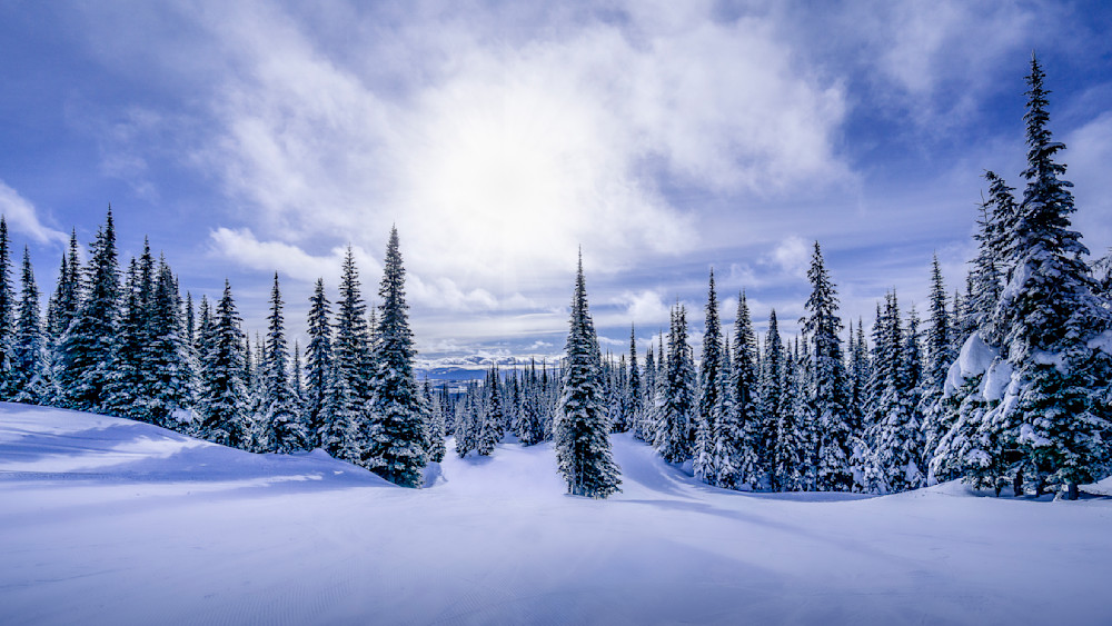 Wniter in the Alpine