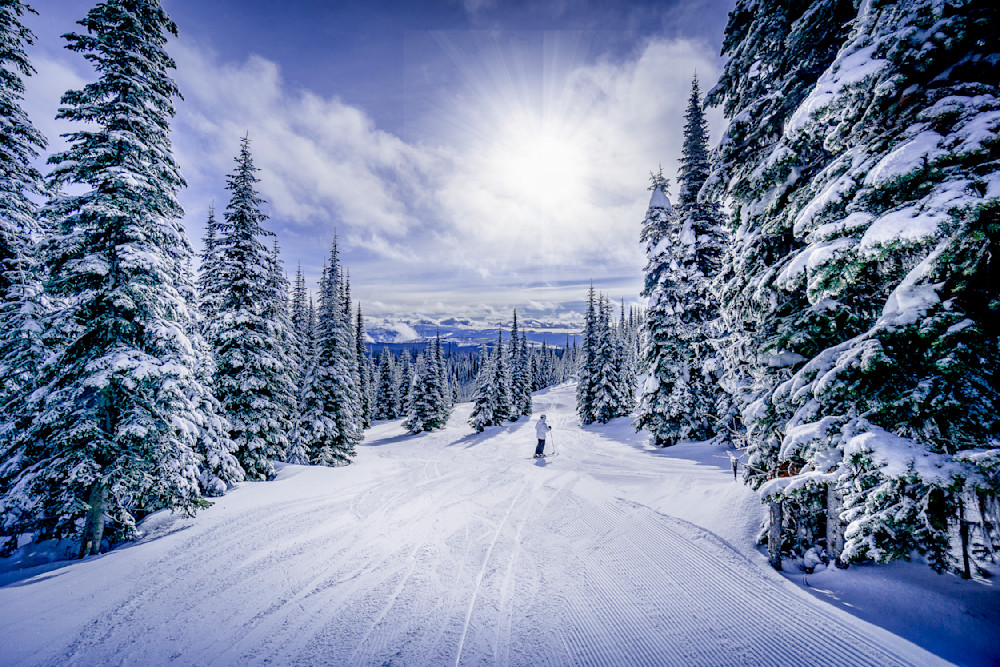 Skier heading down through the Glades