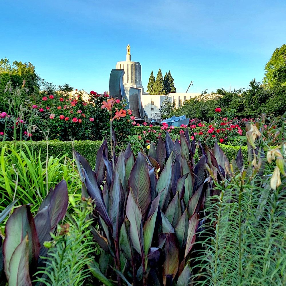 Greenery At The Oregon State Capitol Photography Art | InYourBackyard