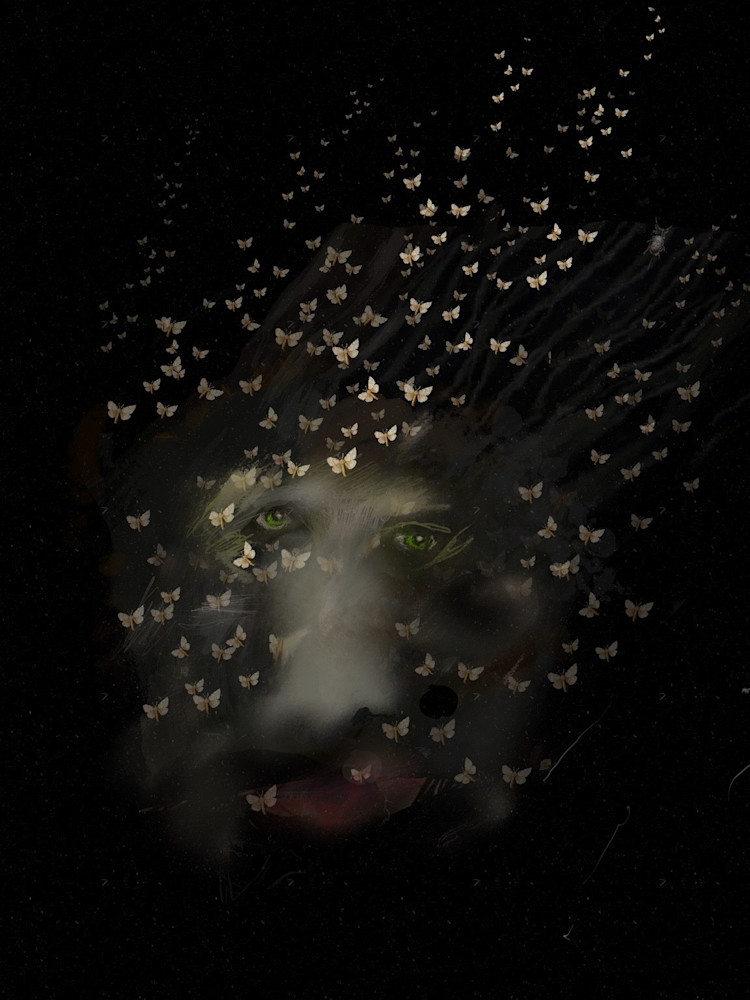 Moth Like Stars Art | Cumulus-Art