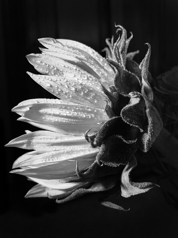 Flame Thrower Sp Art | Sky + Sparks Luxury Fine Art