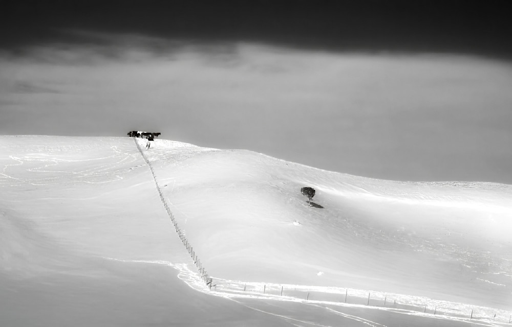 Horse Hill Silence – Black and White Winter Landscape Photography Print by Janie Lynn