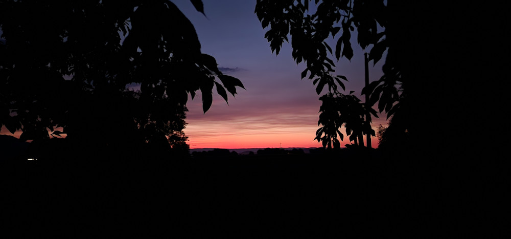 Jungle Hawaiian Sunset Photography Art | InYourBackyard