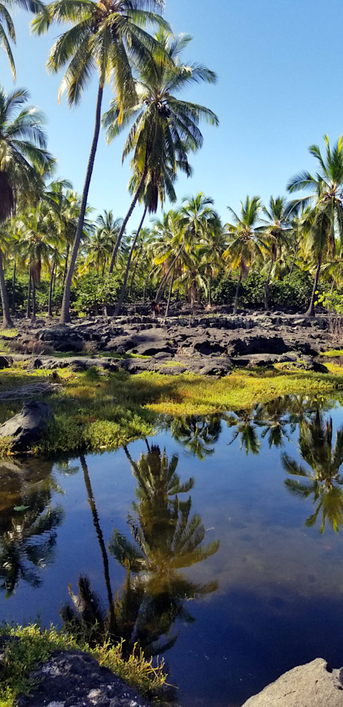 Puʻuhonua O Hōnaunau National Historical Park On The Big Island Of Hawai Photography Art | InYourBackyard