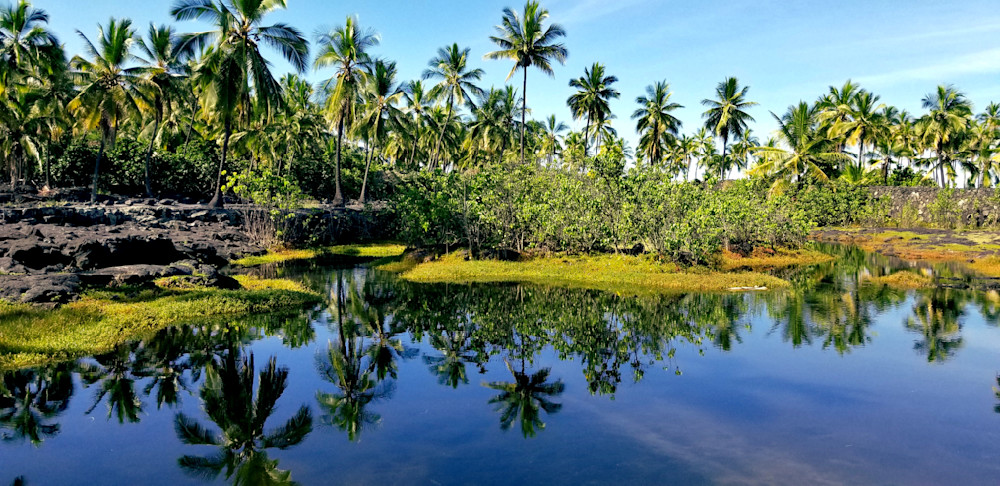 Reflections Of Palms Pu'uhonua O Honaunau National Historic Park Photography Art | InYourBackyard