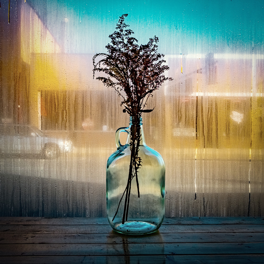 Urban Oasis Photography Art | Steve Genatossio Photo