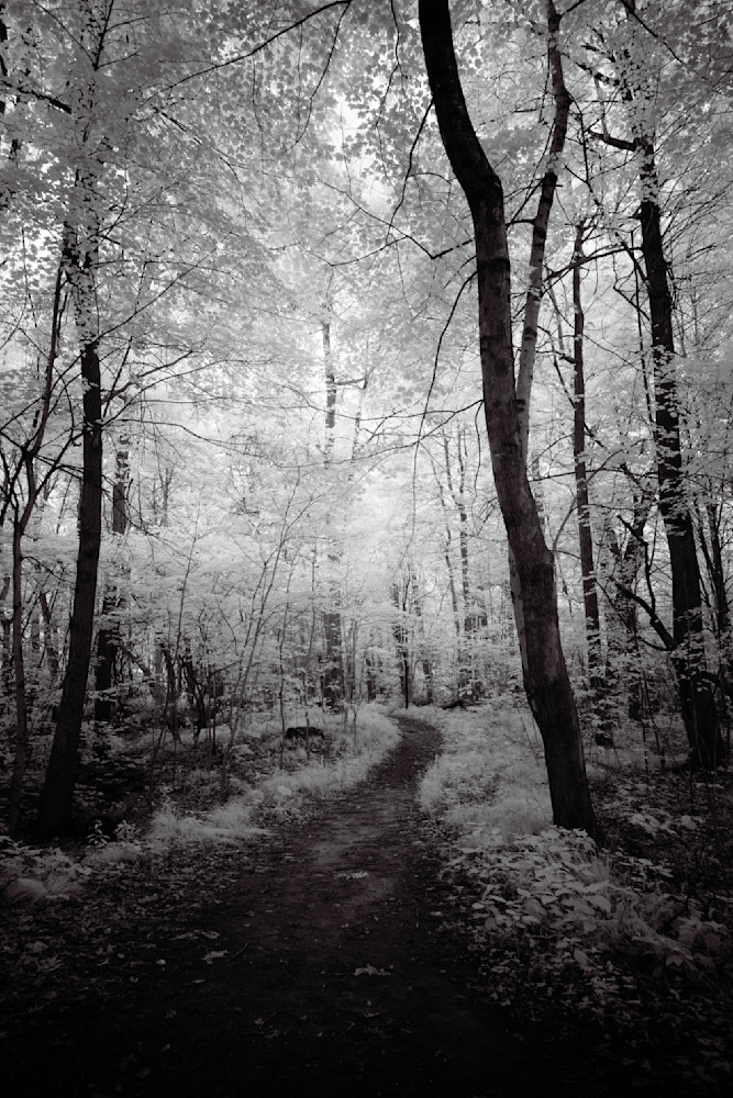 The Quiet Journey In Between Photography Art | Kevin Morris Photography USA