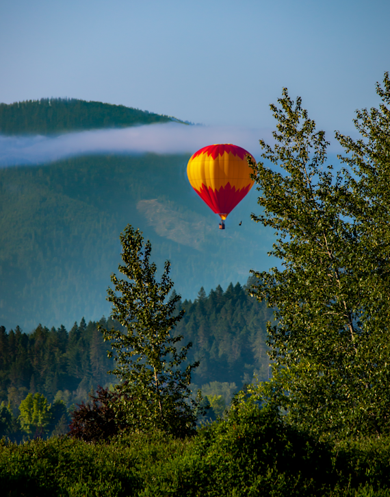 Floating Over the Trees