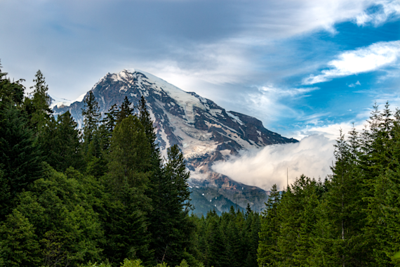 Nature's Glory: Mount Rainier