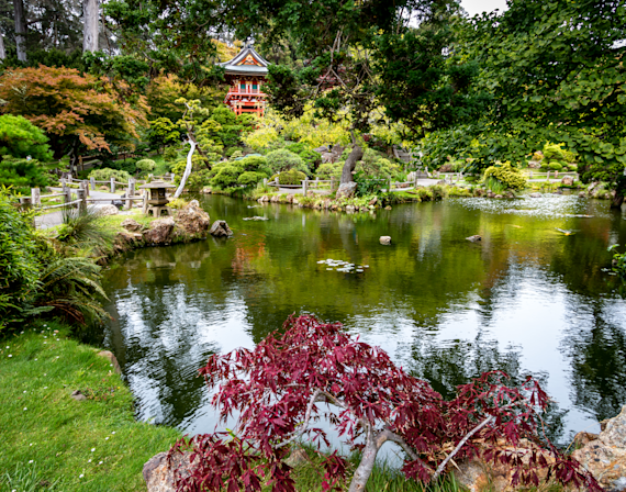 Red Pagoda at the Japanese Tea Garden