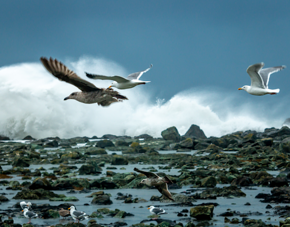 Against the Wind and the Waves