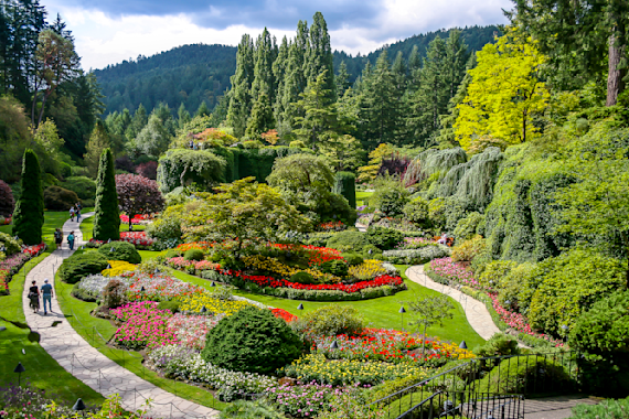 Butchart Gardens in Summer Bloom