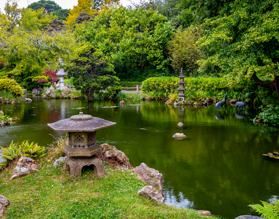 Serenity in the Japanese Garden