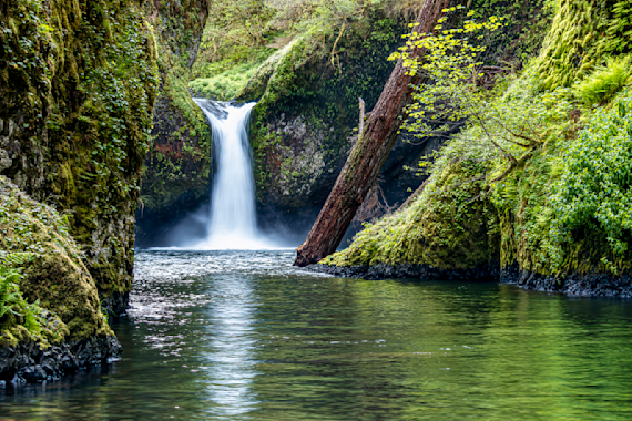 Punchbowl Falls - Columbia River Gorge