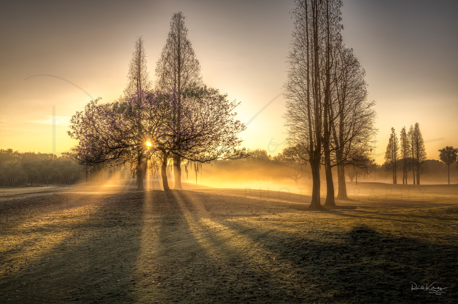 Blanket of Light Photographic Art