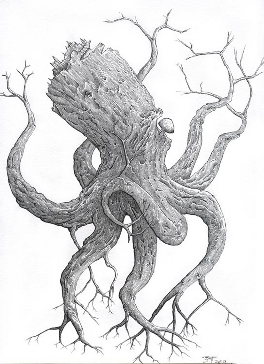 Ben Palmer Pinus Octopoda #cephalopoda #newport #octopoda #octopus vulgaris oregon oregon coast oregon coast aquarium aquarium bottle bottled octopus julesnene #nature #octopus octopus inside a bottle travel octopus. paper ink artists