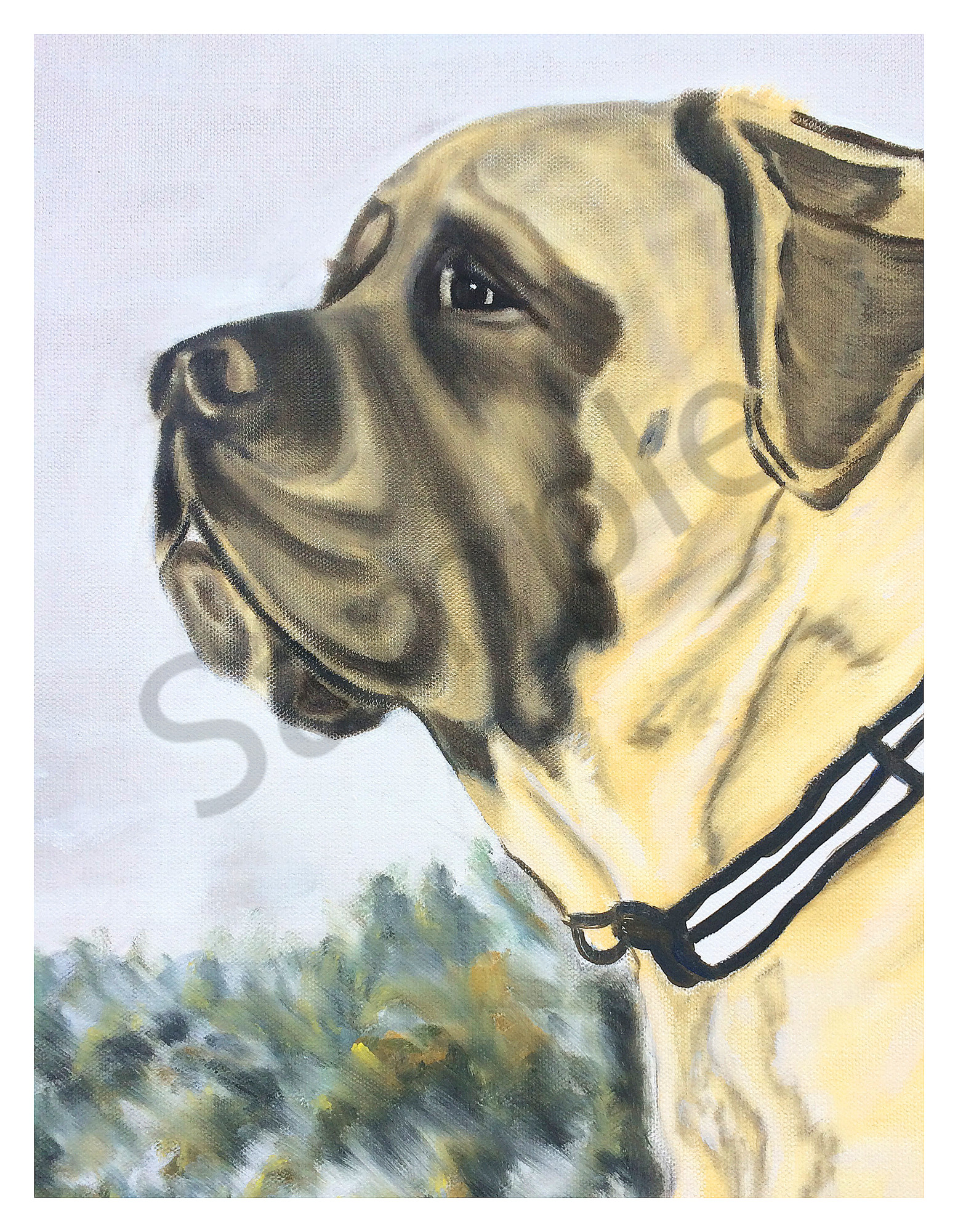 Tnt bullmastiffs shop