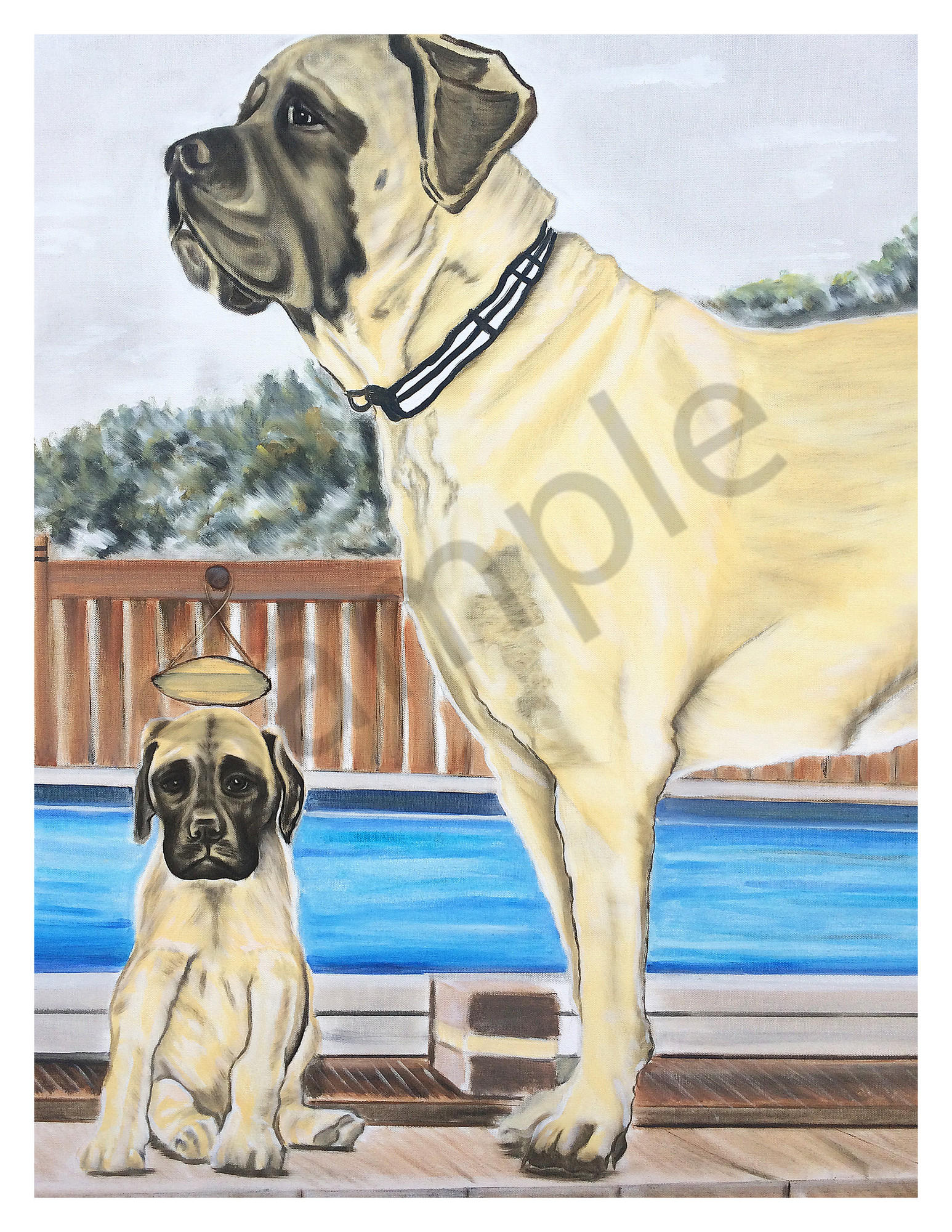 Tnt bullmastiffs shop