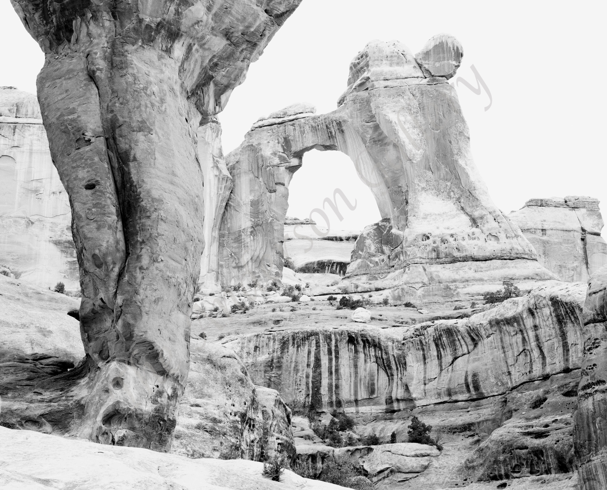 Land Of The Titans Photography Art theandersongallery