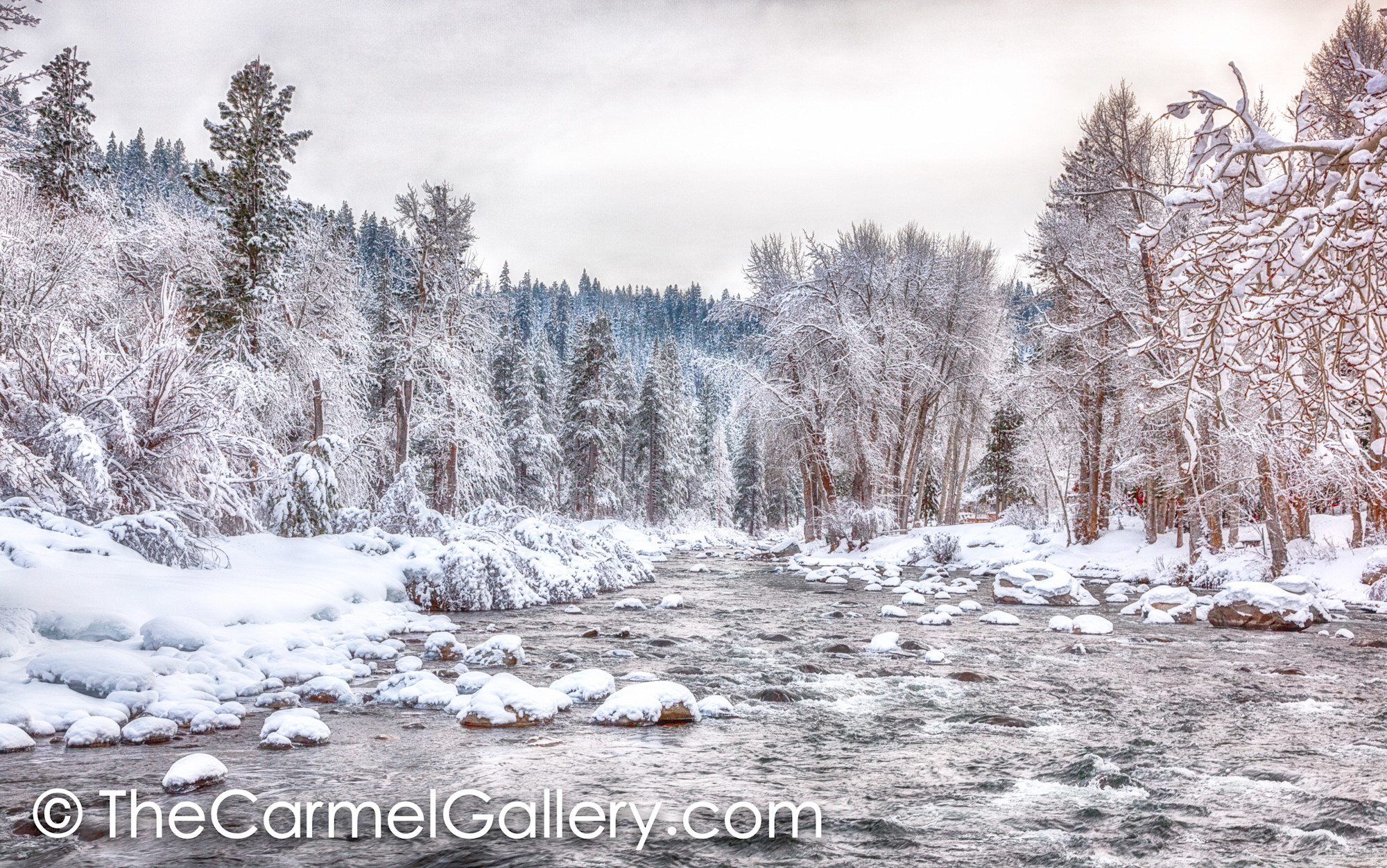 Truckee River In Winter