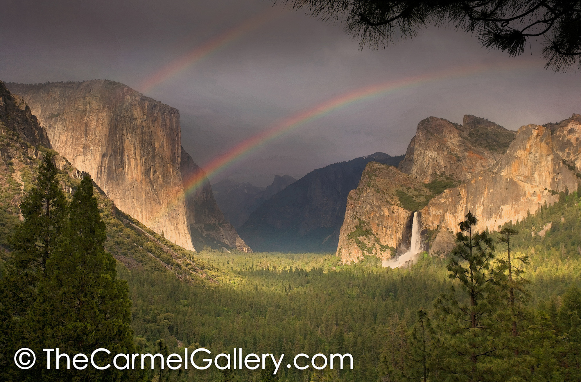 Summer Showers Yosemite