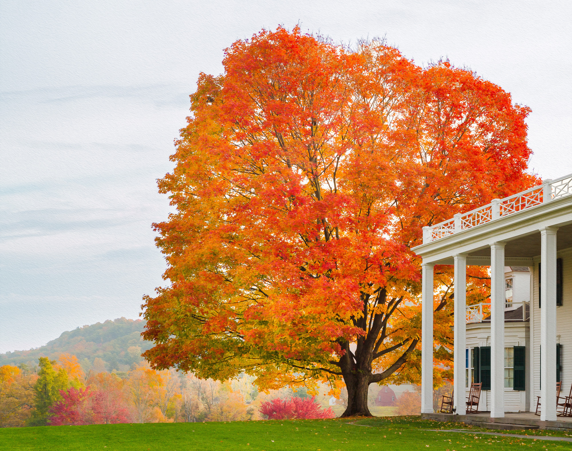 The Majestic Mayhem Of Autumn!