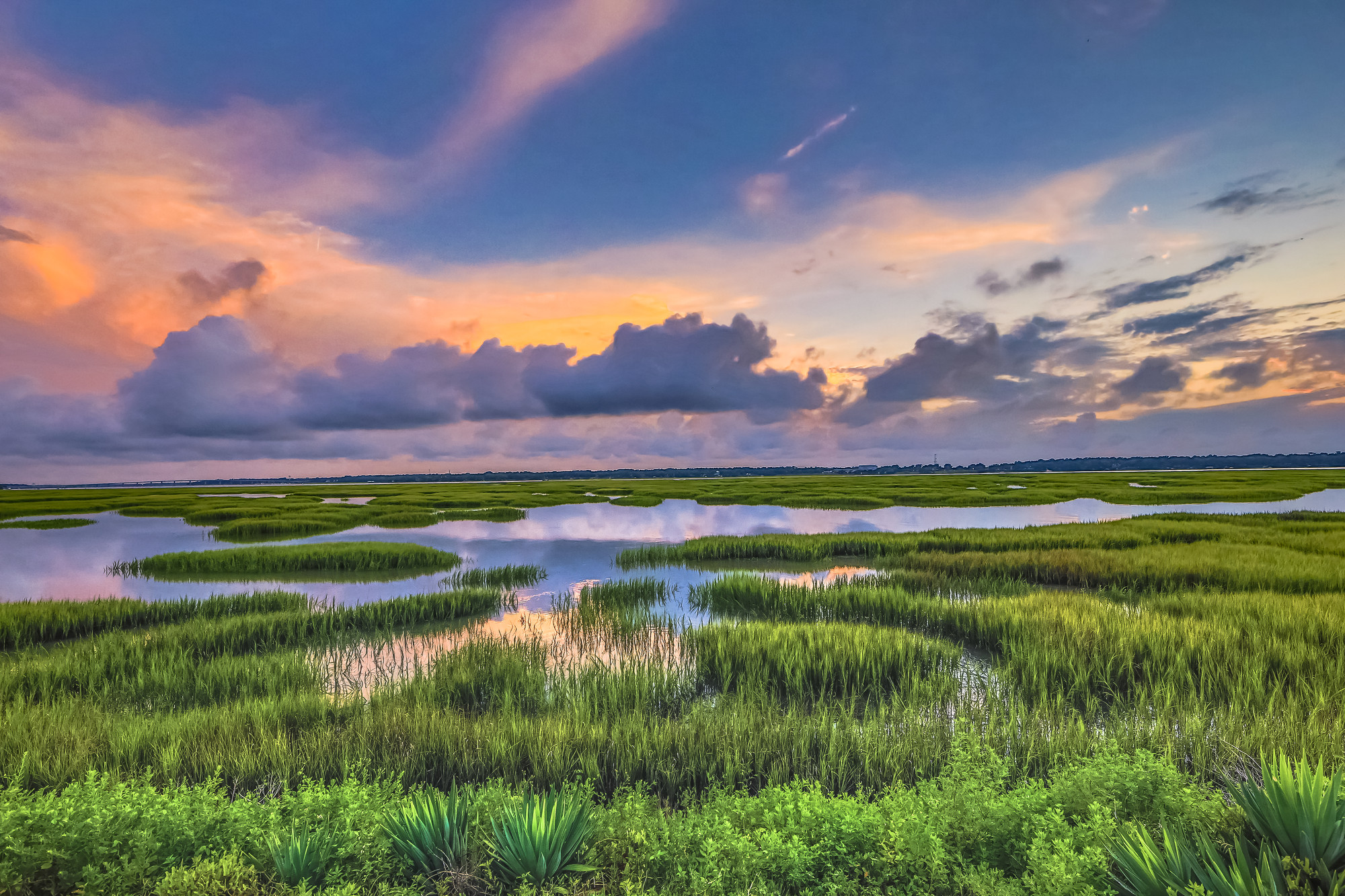 Marsh View Delight Photography Art | Phil Heim Photography