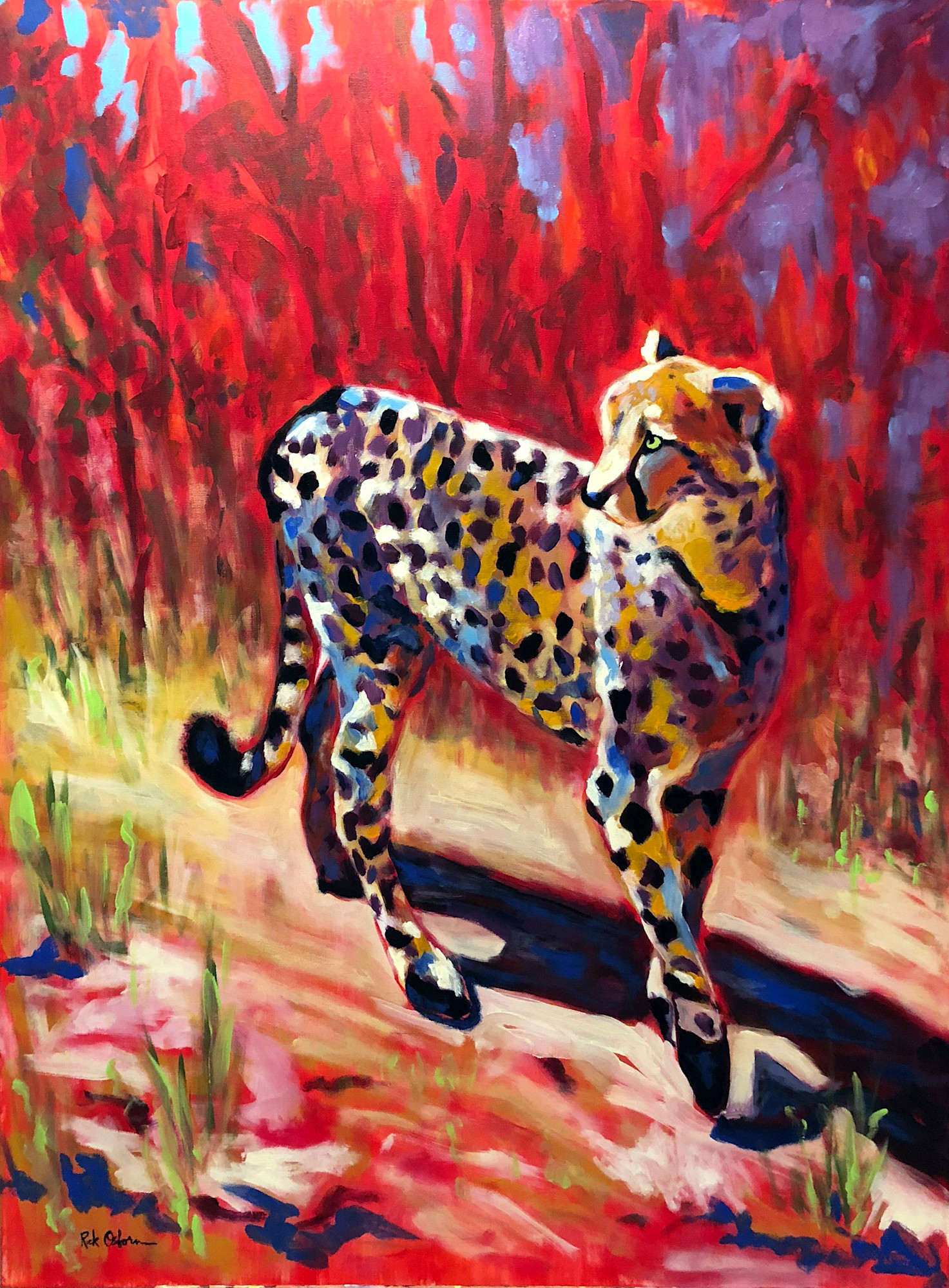 Say Cheetah Fine Art Painting Print By Rick Osborn Artist