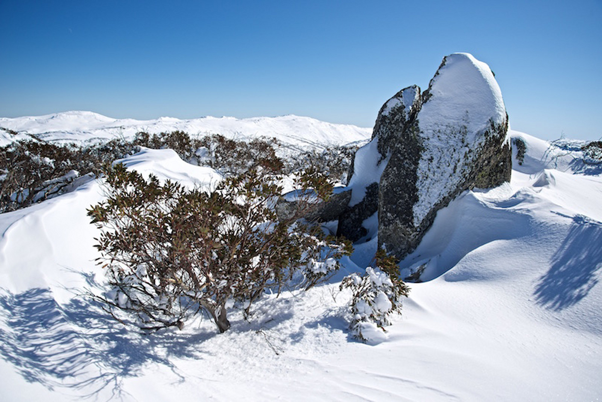 Snow Granite Gums Perisher Kosciuszko National Park NSW Australia