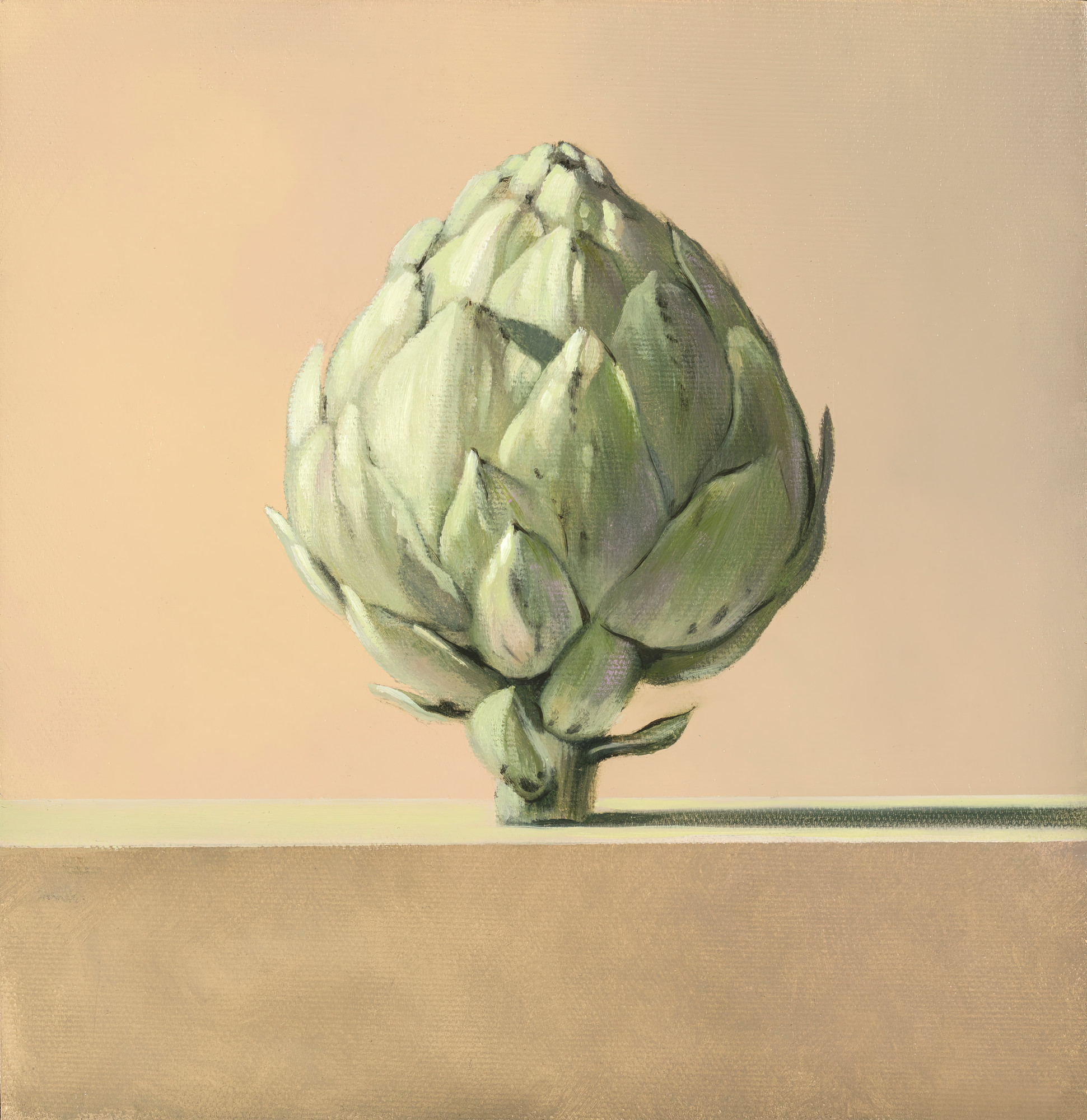 Artichoke Art | Richard Hall Fine Art
