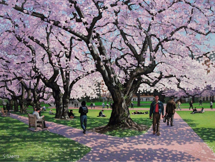 Lantz_quad_in_april_wmq9r9