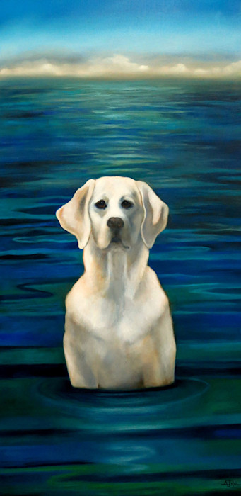John_water_dog_hiqplk