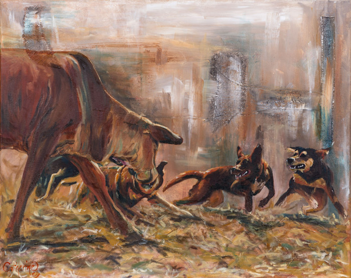 C-clark_dowden_007_tussle-cow-v-dogs_h5dshy