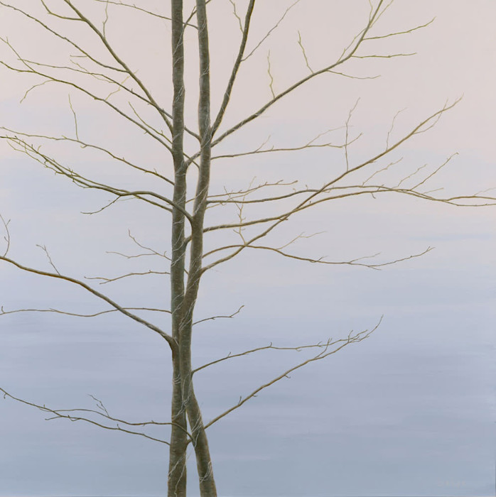 Gedye_entwined_1000_w3fw2u
