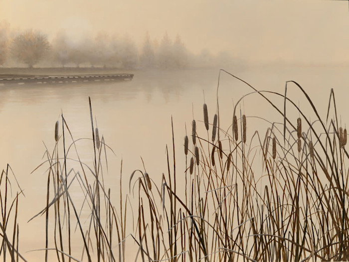 Gedye_cattails_1000_pgj7fc