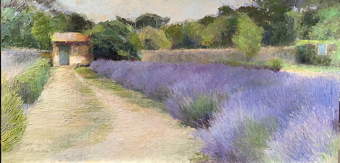 Collymore_van_gogh_s_hospital_garden_with_lavender_st._remy_de_provence_1000_i1q59q