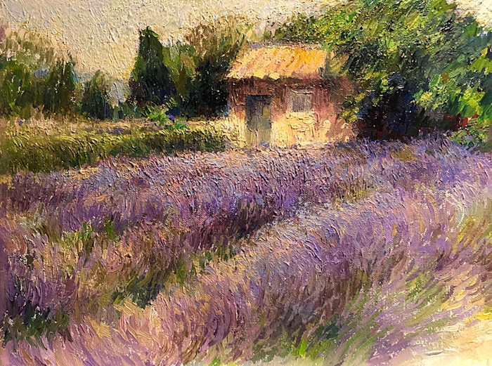 Collymore_provencal_sunlight_on_lavender_and_garden_shed_st._remy_1000_pxyae4