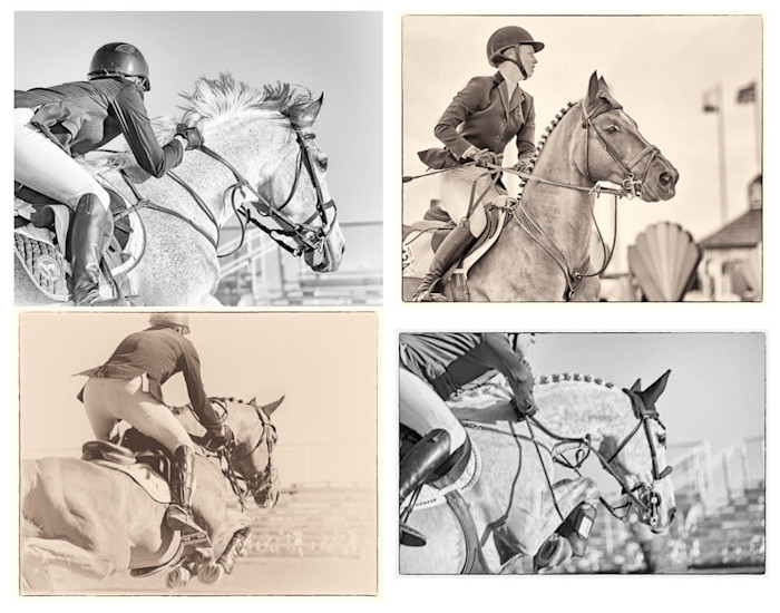 Showjumping_mono_r0alhl
