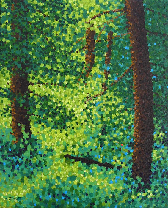 Woodland_sunlight_original_vm5h9s