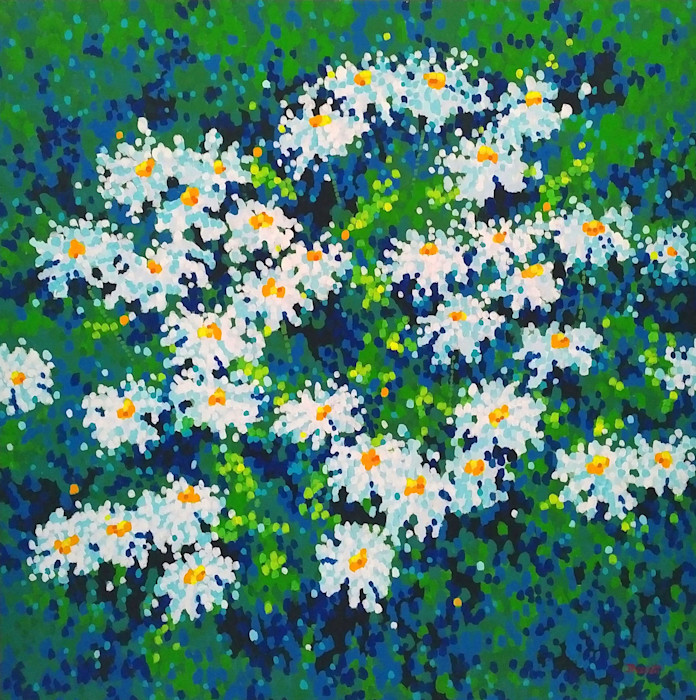 Daisy_summer_original_j5veln