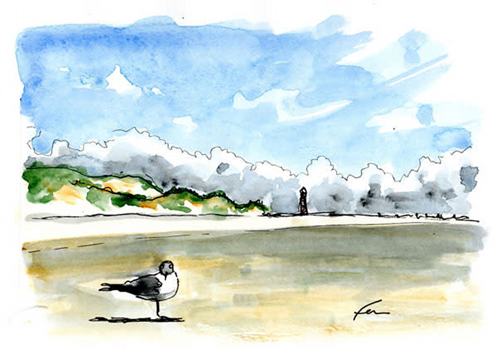 Seagullandmorrislh_garodi