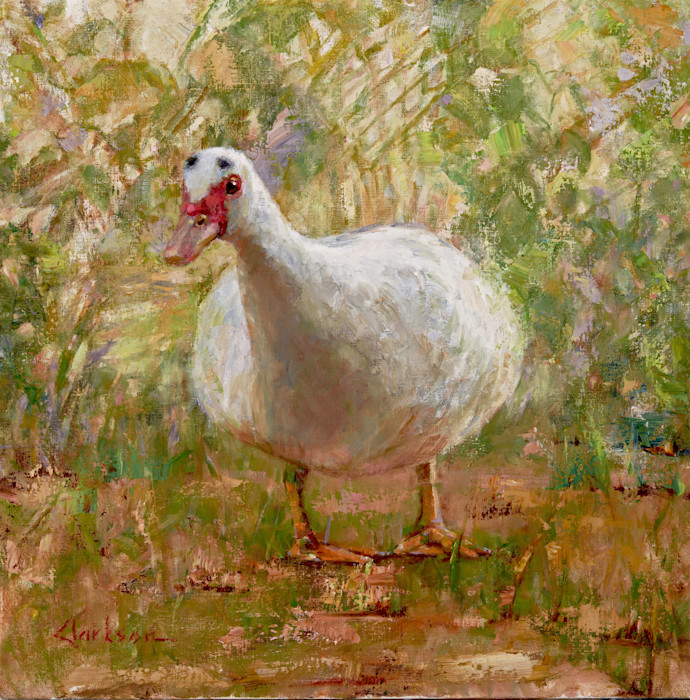 Waddle_150_ppi_reduced_fj53ay