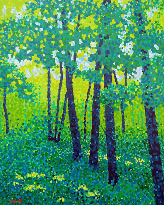 Sunshine_in_the_shadows_original_l338pk