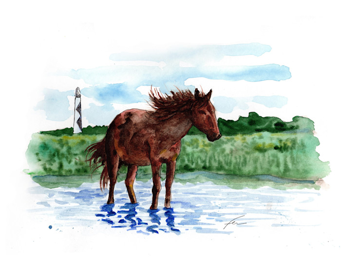 Wildhorse_my4do9