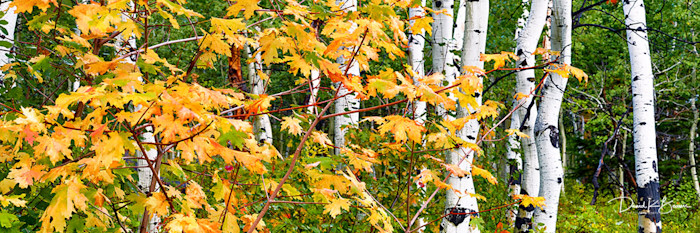Park-city-fall-1_dlweo5_pqc73l